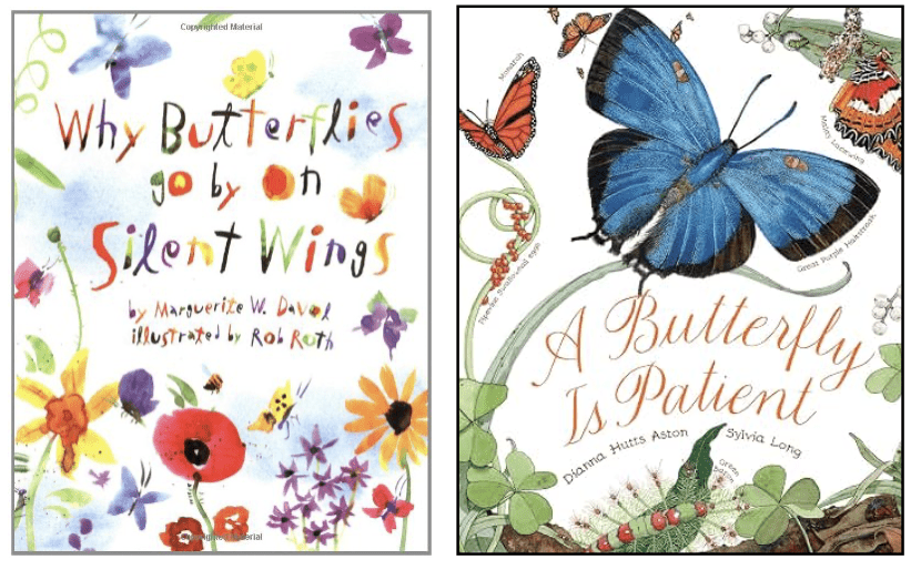 butterfly books