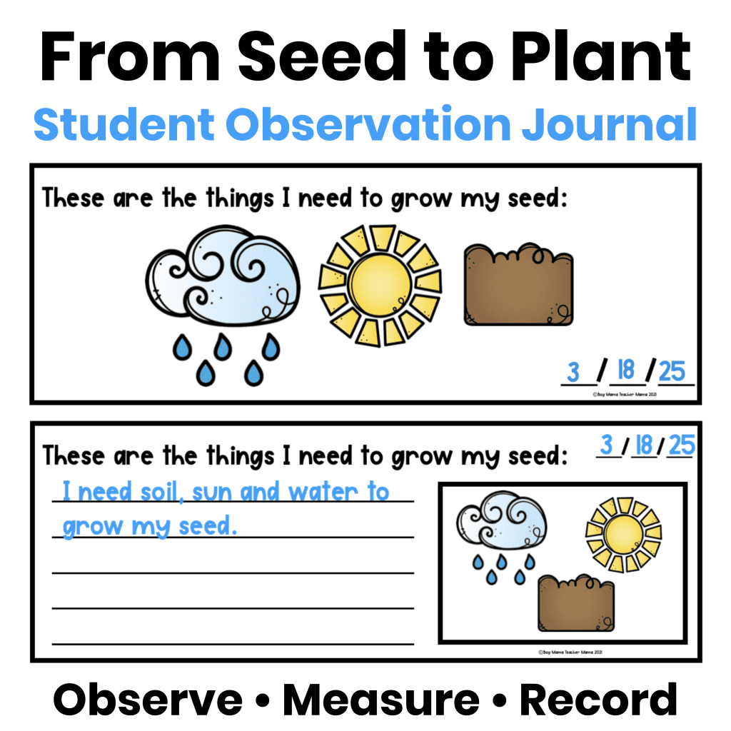 Easy plant observation journal for students to record plant growth from seed to plant.