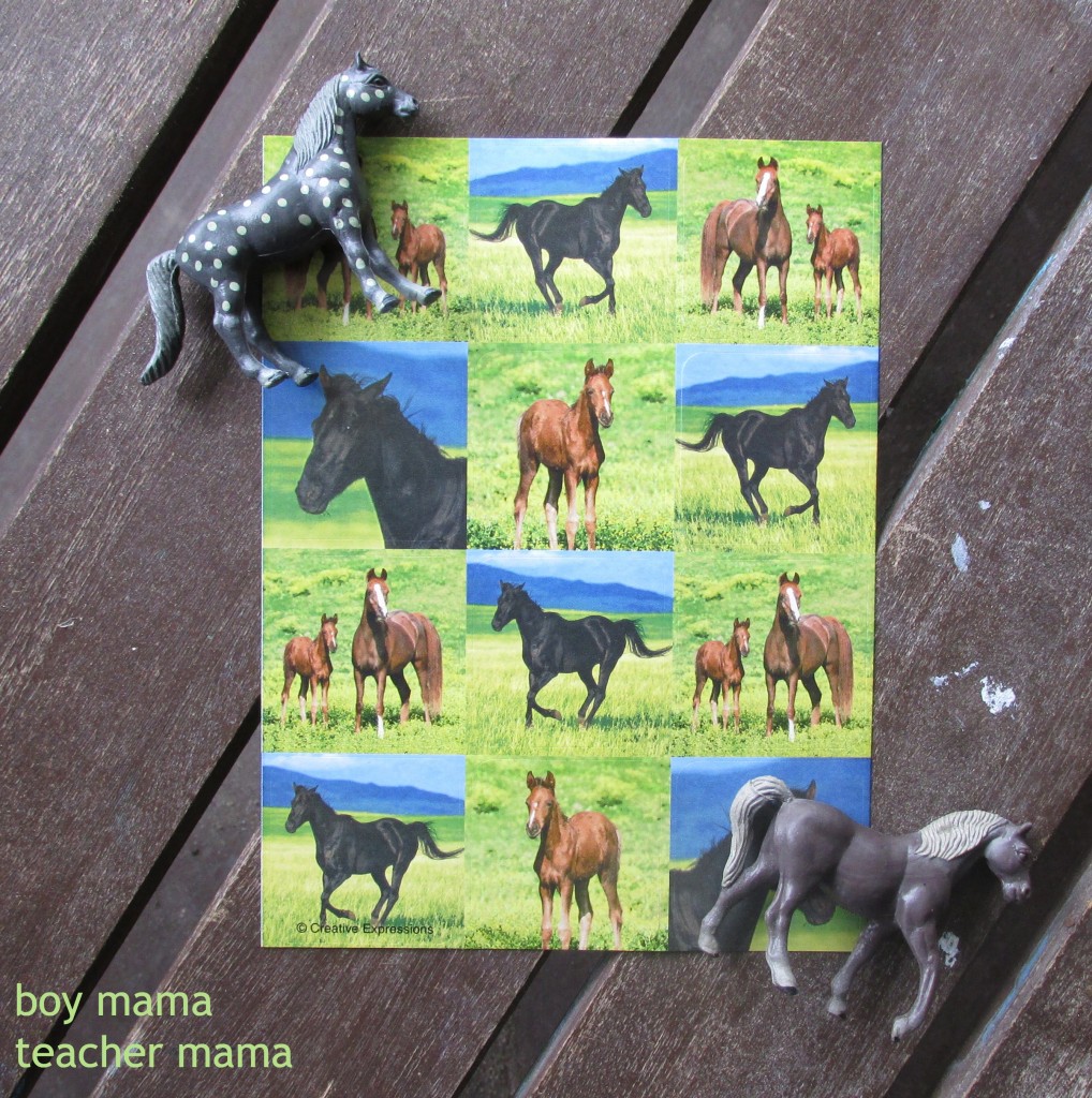 Boy Mama Teacher Mama | Simple Horse Themed Birthday Party