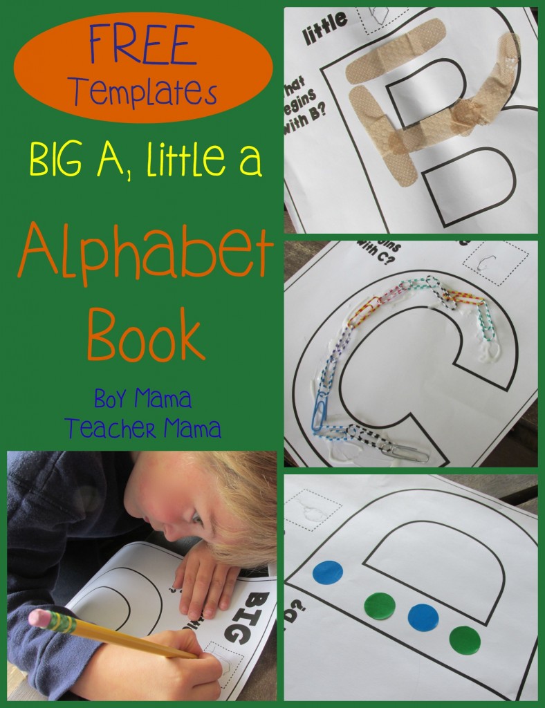 Boy Mama Teacher Mama  Big A Little A Alphabet Book .jpg