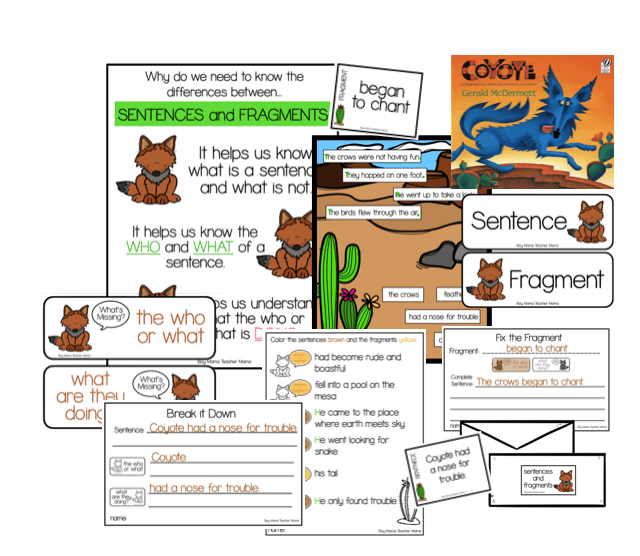 sentences and fragments with coyote