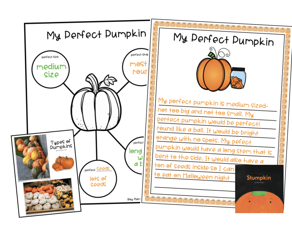 Stumpkin my perfect pumpkin